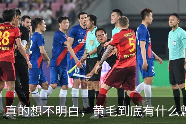 真的想不明白，黄毛到底有什么魅力？网友回答太真实了！